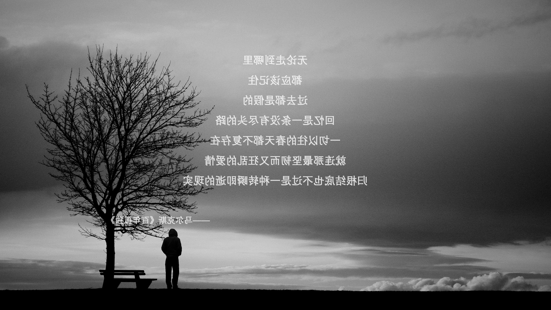 圣洛伦索球员因拖欠工资罢训,俱乐部承诺解决,圣洛伦索vs帕特罗纳图